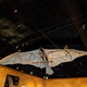 Illustration for article titled Pictures from the Reagan Library: The da Vinci Exhibit